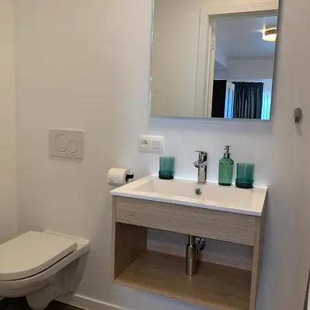 Homestay, Ground Floor, Comfort ホームステイ